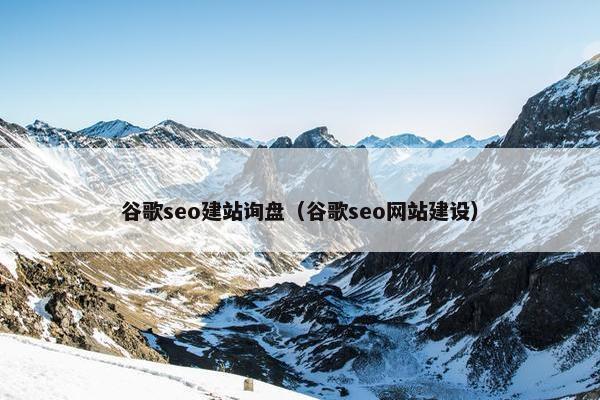 谷歌seo建站询盘（谷歌seo网站建设）