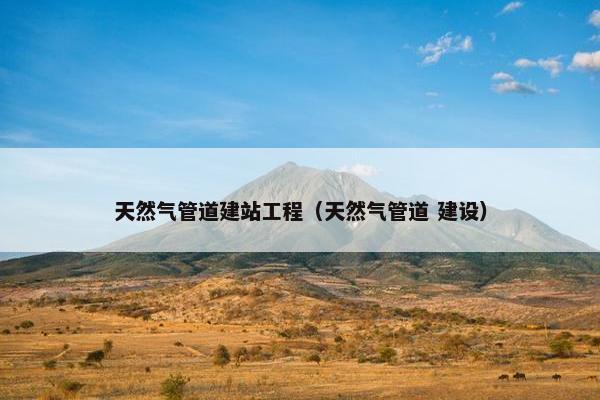天然气管道建站工程（天然气管道 建设）