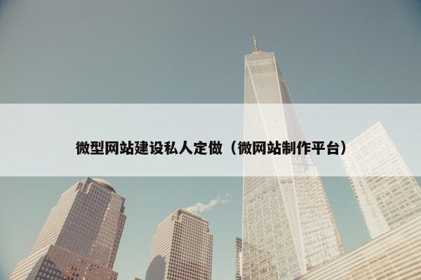 微型网站建设私人定做（微网站制作平台）