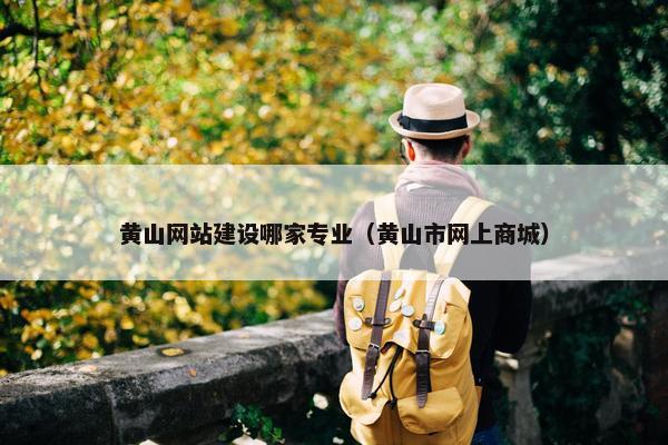 黄山网站建设哪家专业（黄山市网上商城）