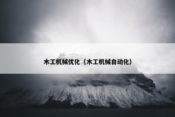 木工机械优化（木工机械自动化）