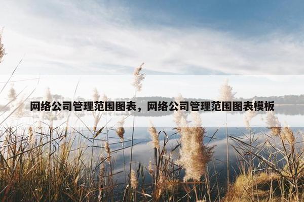 网络公司管理范围图表，网络公司管理范围图表模板
