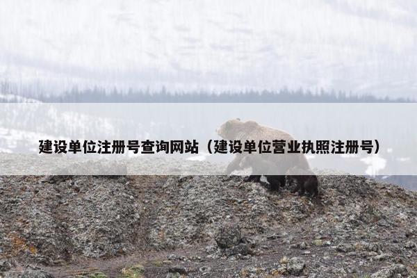 建设单位注册号查询网站（建设单位营业执照注册号）