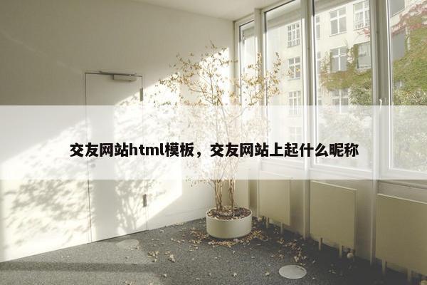 交友网站html模板，交友网站上起什么昵称