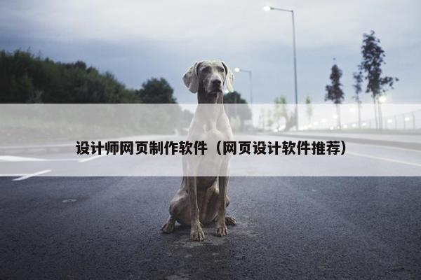 设计师网页制作软件（网页设计软件推荐）