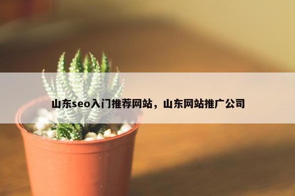 山东seo入门推荐网站，山东网站推广公司