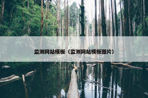 监测网站模板（监测网站模板图片）