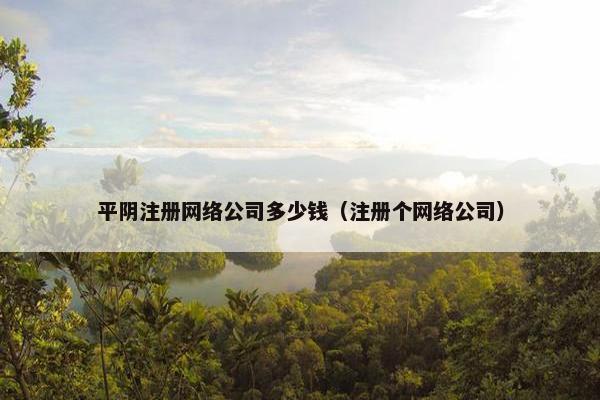 平阴注册网络公司多少钱（注册个网络公司）