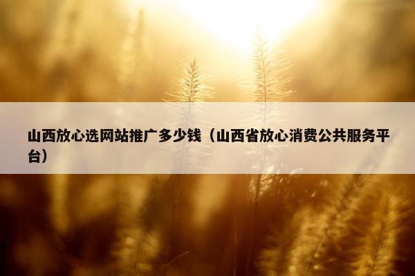 山西放心选网站推广多少钱（山西省放心消费公共服务平台）