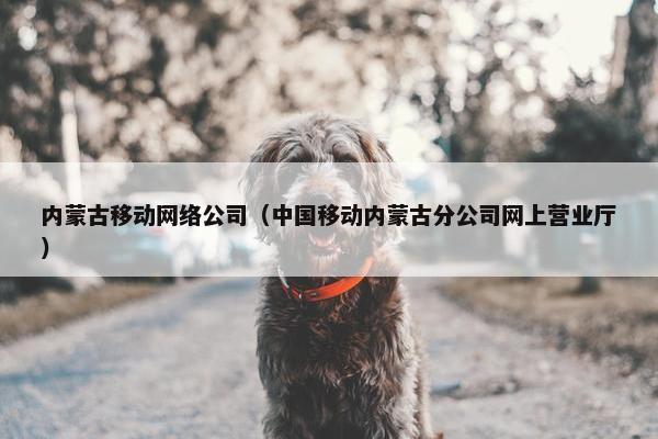 内蒙古移动网络公司（中国移动内蒙古分公司网上营业厅）