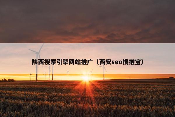 陕西搜索引擎网站推广（西安seo搜推宝）