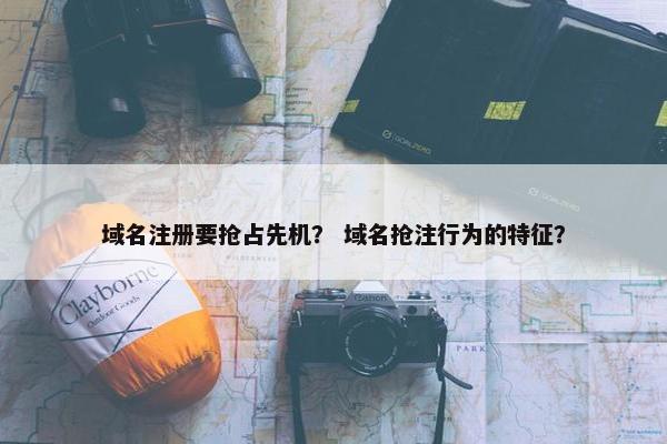 域名注册要抢占先机？ 域名抢注行为的特征？