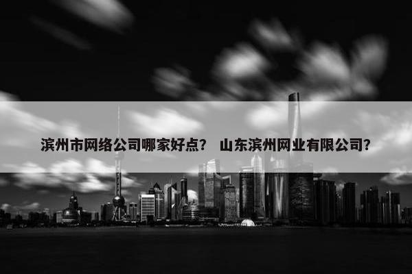 滨州市网络公司哪家好点？ 山东滨州网业有限公司？