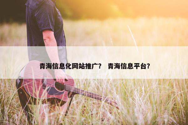 青海信息化网站推广？ 青海信息平台？