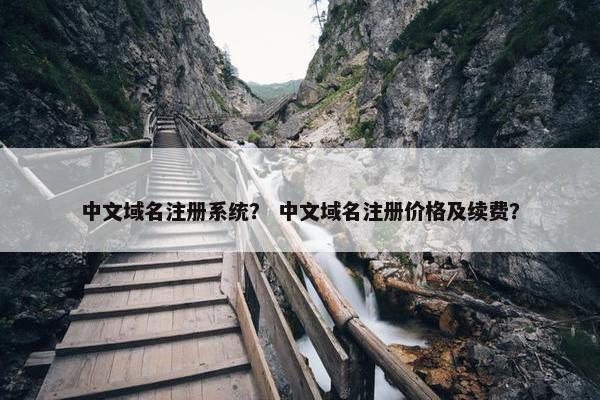 中文域名注册系统？ 中文域名注册价格及续费？