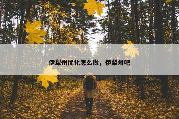 伊犁州优化怎么做，伊犁州吧
