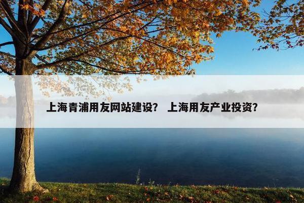 上海青浦用友网站建设？ 上海用友产业投资？