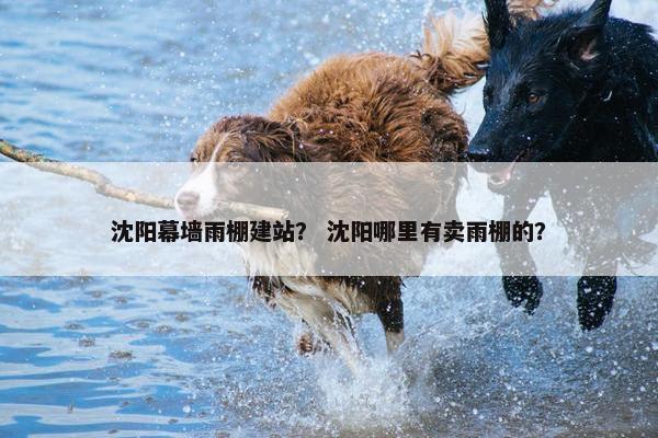 沈阳幕墙雨棚建站？ 沈阳哪里有卖雨棚的？