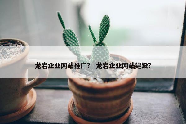 龙岩企业网站推广？ 龙岩企业网站建设？