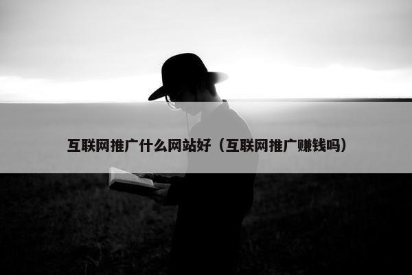 互联网推广什么网站好（互联网推广赚钱吗）