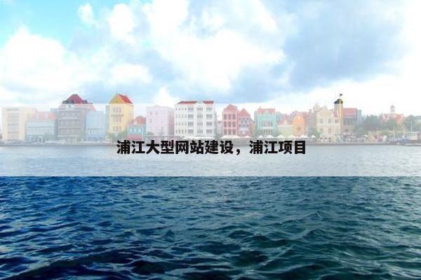 浦江大型网站建设，浦江项目