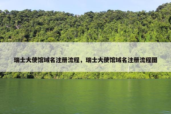 瑞士大使馆域名注册流程，瑞士大使馆域名注册流程图
