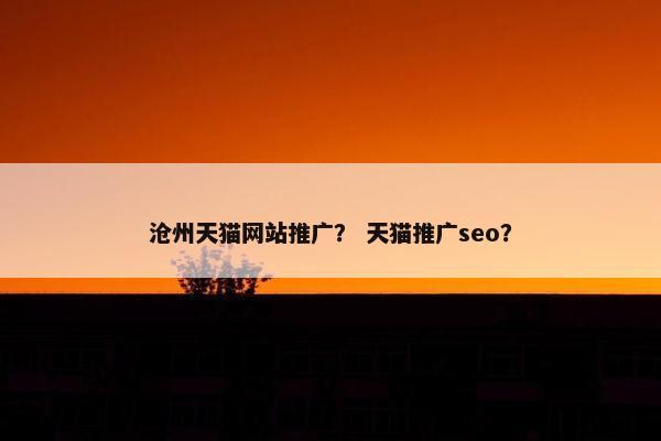 沧州天猫网站推广？ 天猫推广seo？