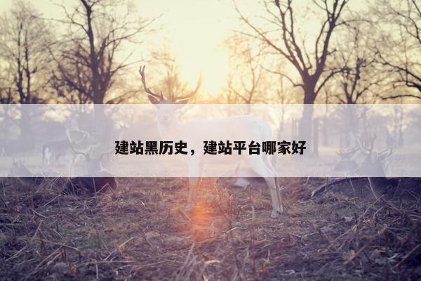 建站黑历史，建站平台哪家好