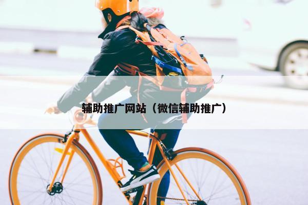 辅助推广网站（微信辅助推广）