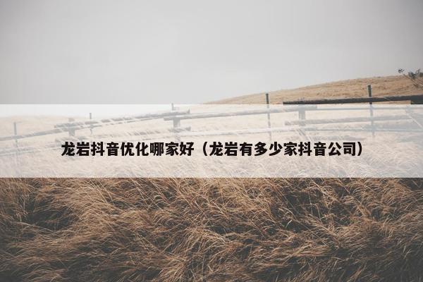 龙岩抖音优化哪家好（龙岩有多少家抖音公司）