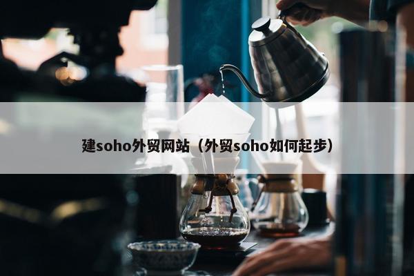 建soho外贸网站（外贸soho如何起步）
