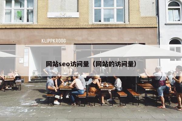 网站seo访问量（网站的访问量）
