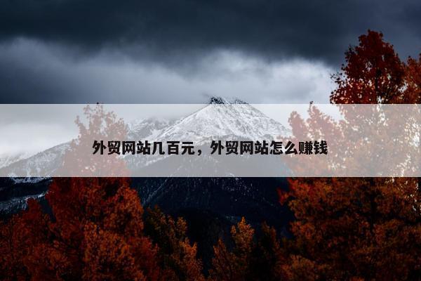 外贸网站几百元，外贸网站怎么赚钱