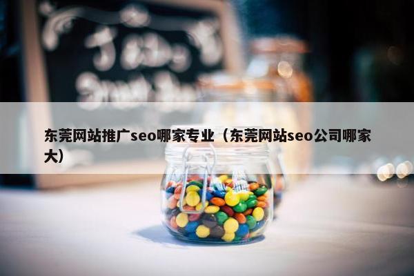 东莞网站推广seo哪家专业（东莞网站seo公司哪家大）