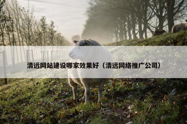 清远网站建设哪家效果好（清远网络推广公司）