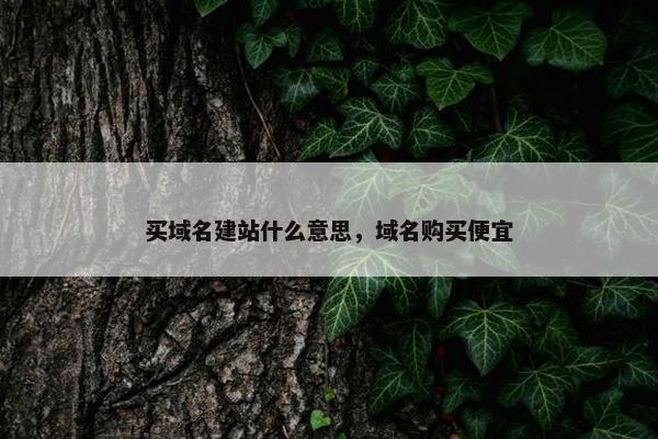买域名建站什么意思，域名购买便宜