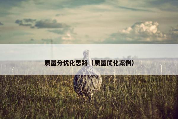 质量分优化思路（质量优化案例）