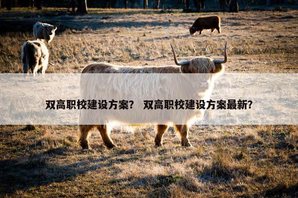 双高职校建设方案？ 双高职校建设方案最新？