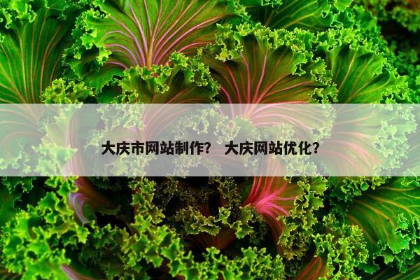 大庆市网站制作？ 大庆网站优化？