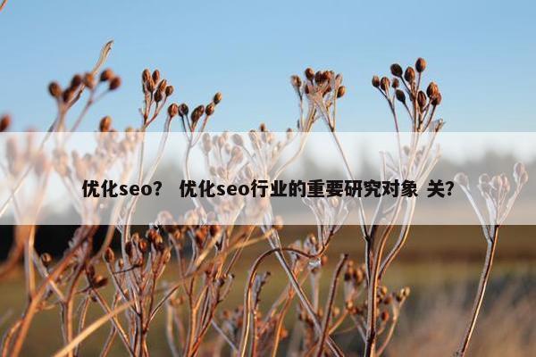 优化seo？ 优化seo行业的重要研究对象 关？