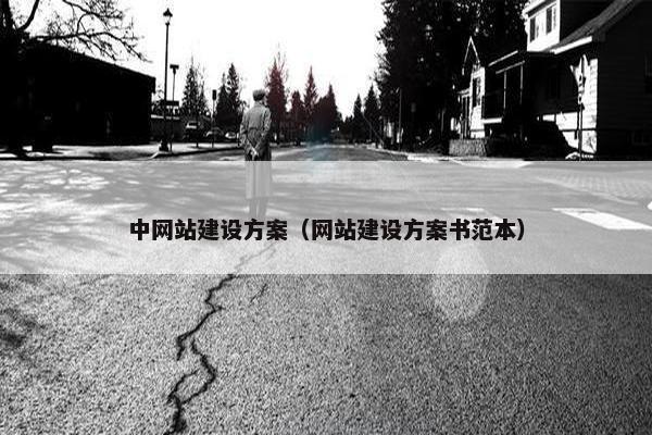 中网站建设方案（网站建设方案书范本）