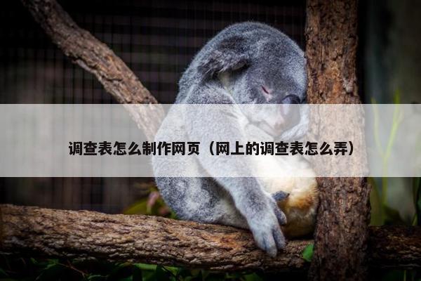 调查表怎么制作网页（网上的调查表怎么弄）