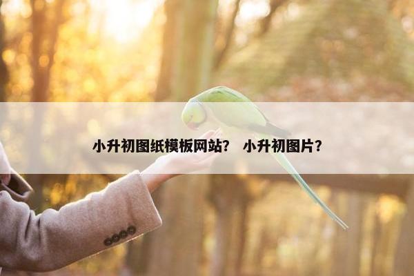 小升初图纸模板网站？ 小升初图片？