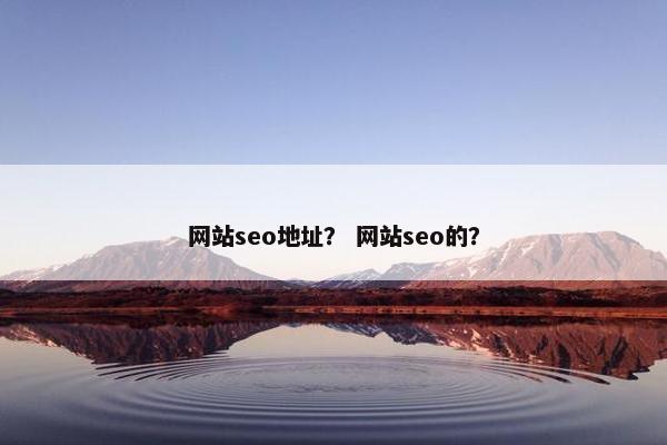 网站seo地址？ 网站seo的？