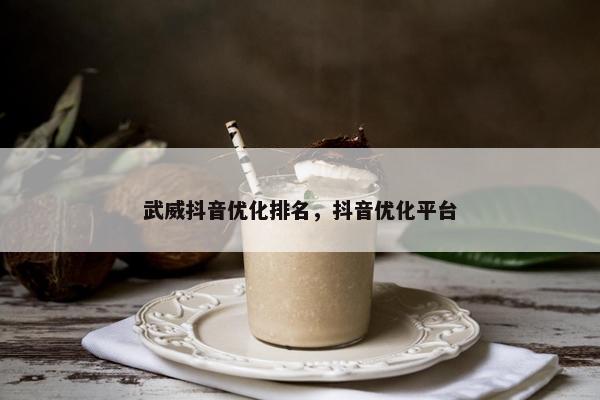 武威抖音优化排名，抖音优化平台