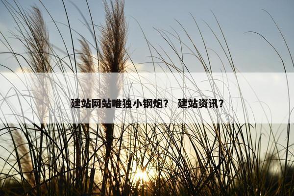建站网站唯独小钢炮？ 建站资讯？