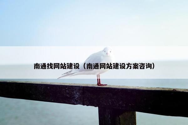 南通找网站建设（南通网站建设方案咨询）
