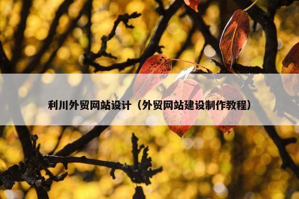 利川外贸网站设计（外贸网站建设制作教程）