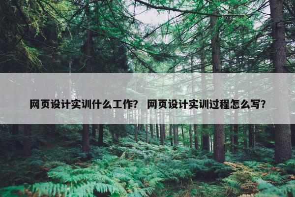 网页设计实训什么工作？ 网页设计实训过程怎么写？