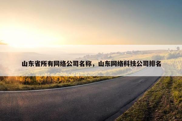山东省所有网络公司名称，山东网络科技公司排名